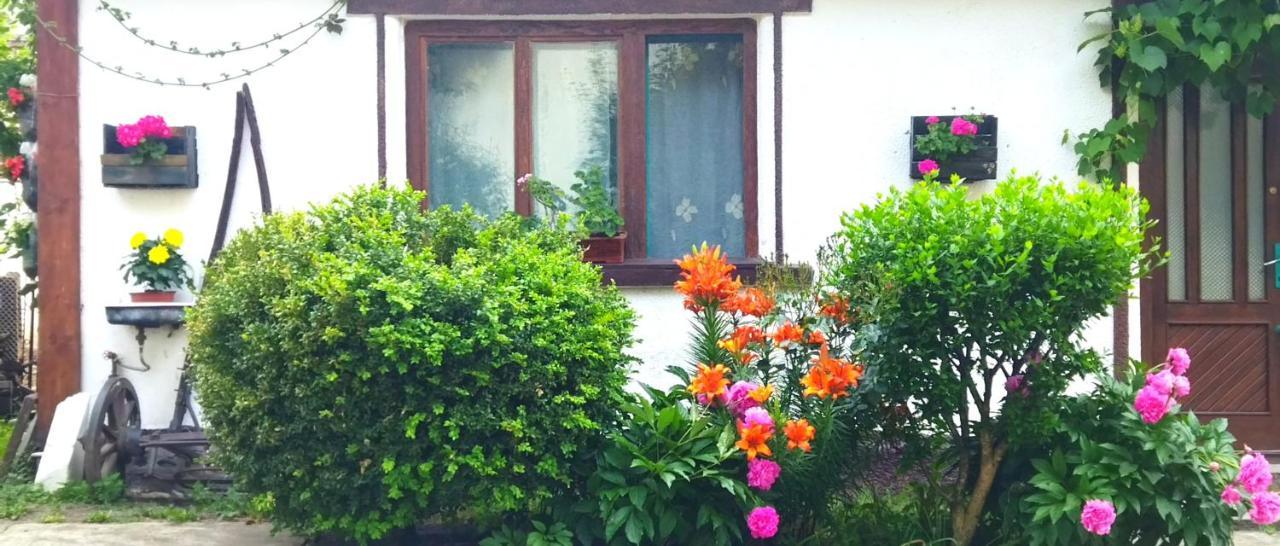 Casa Din Coltul Cetatii Hărman Exterior foto